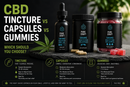 CBD Tincture vs Capsules vs Gummies: Which Should You Choose? | PureCraft CBD
