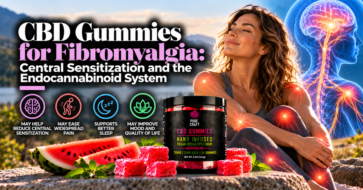 CBD Gummies for Fibromyalgia: Central Sensitization and the Endocannabinoid System