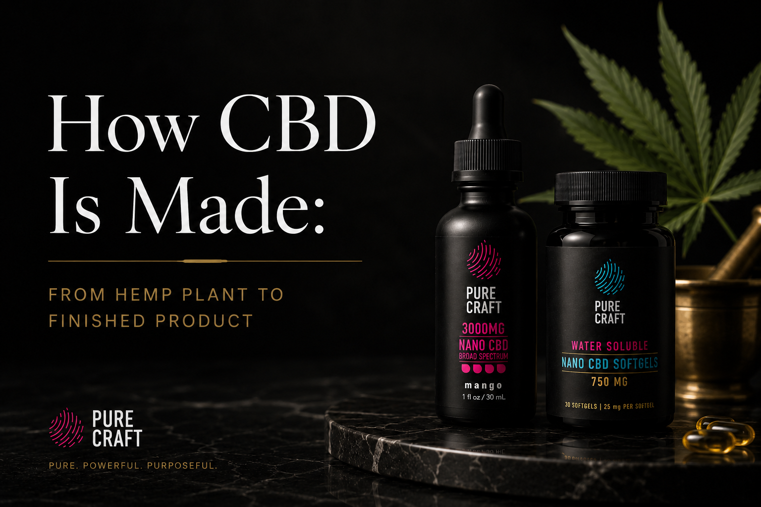 How CBD Is Made: From Hemp Plant to Finished Product | PureCraft CBD