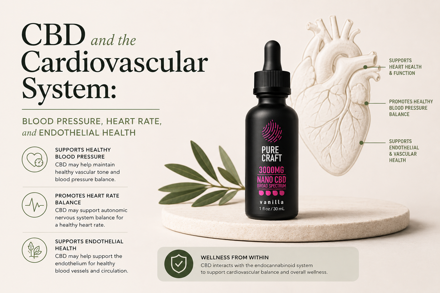 CBD and the Cardiovascular System: Blood Pressure, Heart Rate, and Endothelial Health | PureCraft CBD