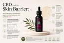 CBD and the Skin Barrier: Microbiome, Ceramides, and the Cutaneous ECS Update 2026 | PureCraft CBD
