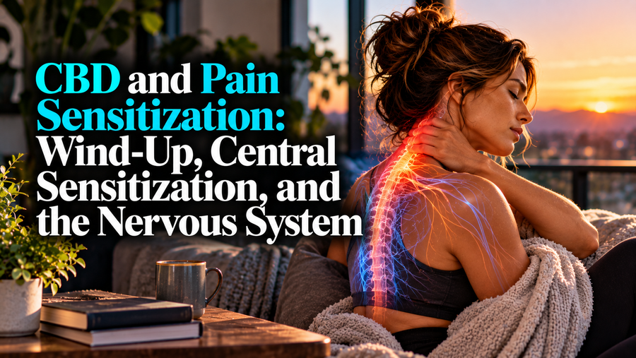 CBD and Pain Sensitization: Wind-Up, Central Sensitization, and the Nervous System | PureCraft CBD