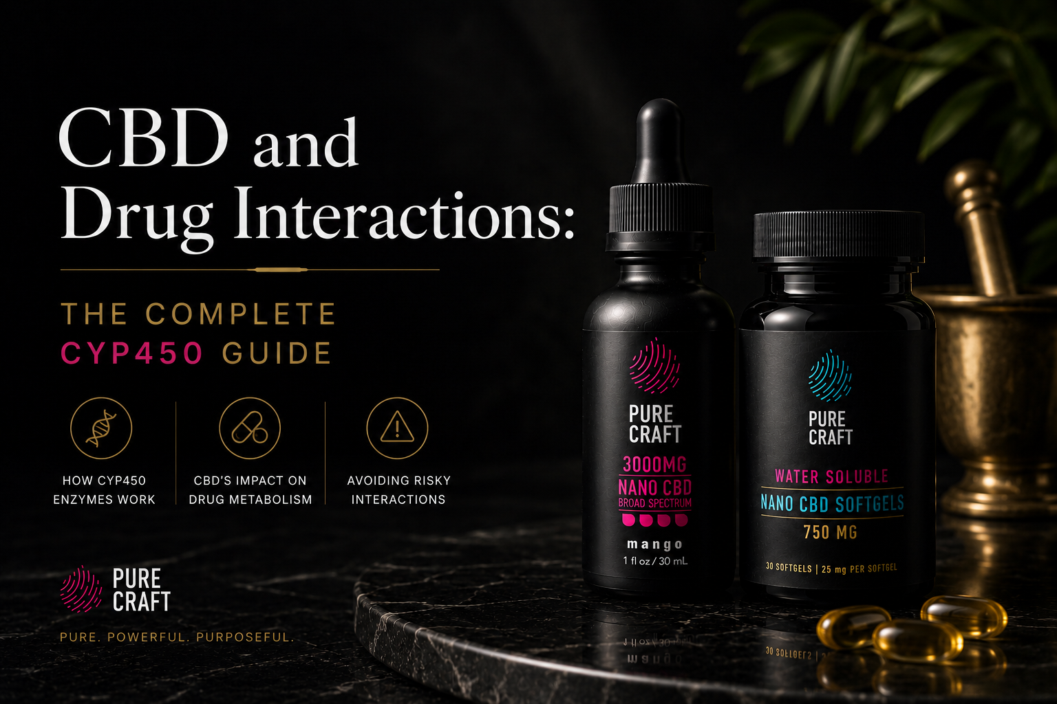 CBD and Drug Interactions: The Complete CYP450 Guide | PureCraft CBD
