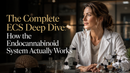 The Complete ECS Deep Dive: How the Endocannabinoid System Actually Works | PureCraft CBD