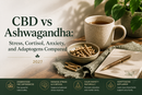 CBD vs Ashwagandha: Stress, Cortisol, Anxiety, and Adaptogens Compared 2027 | PureCraft CBD