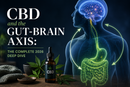 CBD and the Gut-Brain Axis: The Complete 2026 Deep Dive | PureCraft CBD