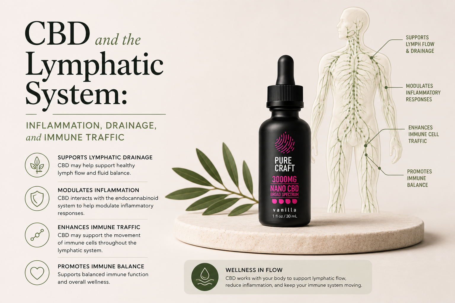 CBD and the Lymphatic System: Inflammation, Drainage, and Immune Traffic | PureCraft CBD