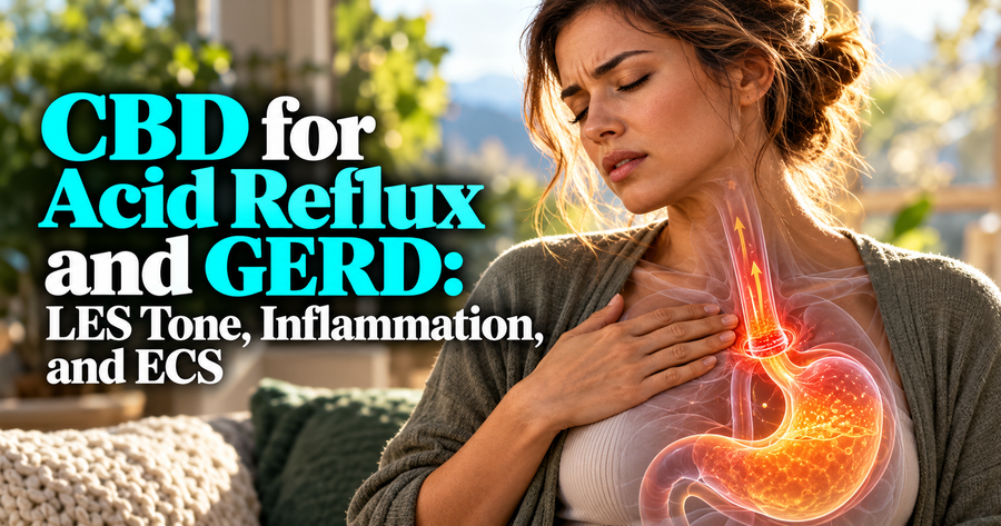 CBD for Acid Reflux and GERD: LES Tone, Inflammation, and ECS | PureCraft CBD