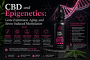 CBD and Epigenetics: Gene Expression, Aging, and Stress-Induced Methylation 2027 | PureCraft CBD