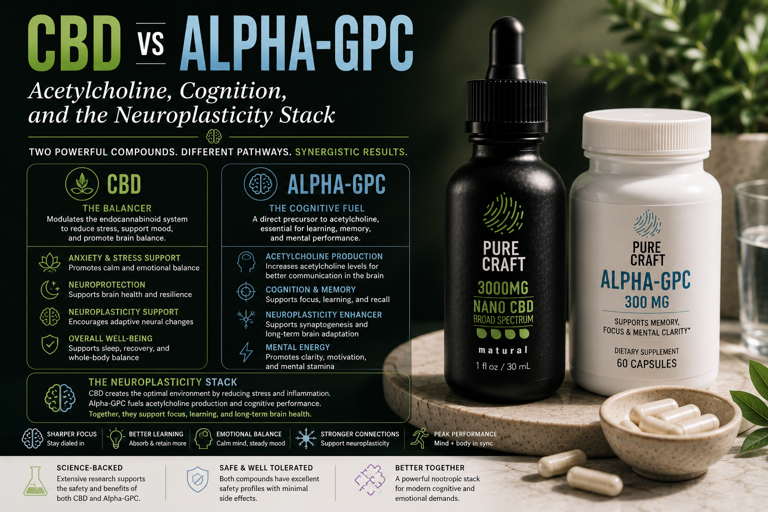 CBD vs Alpha-GPC: Acetylcholine, Cognition, and the Neuroplasticity Stack | PureCraft CBD